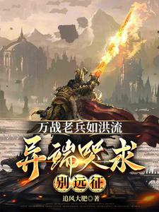 万战老兵如洪流，异端哭求别远征